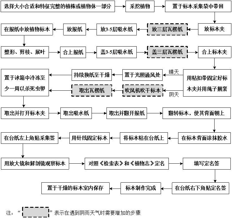 详细步骤及实用建议