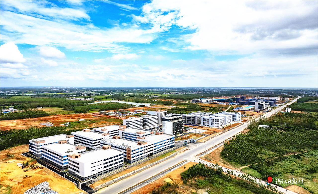 深度探讨雷州服务器加油市场现状