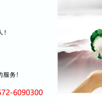 永宁电商服务器租用价格解析