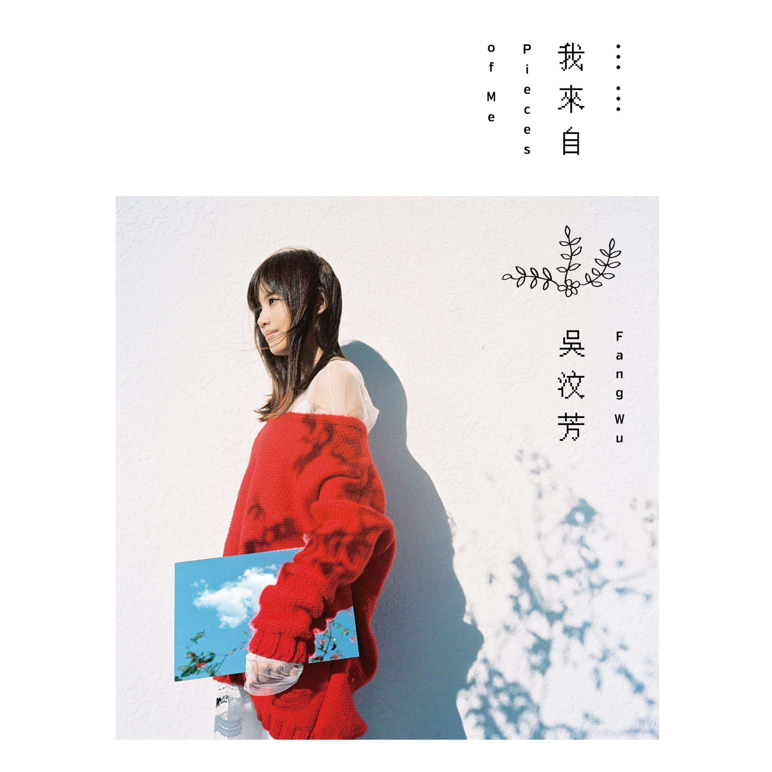一步步指南帮助你完成高质量的艺术作品合集制作!