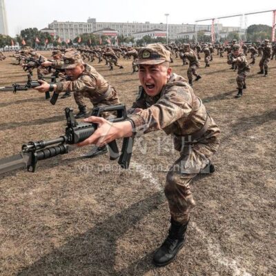 实战案例分析：成功网站的盈利路径解析