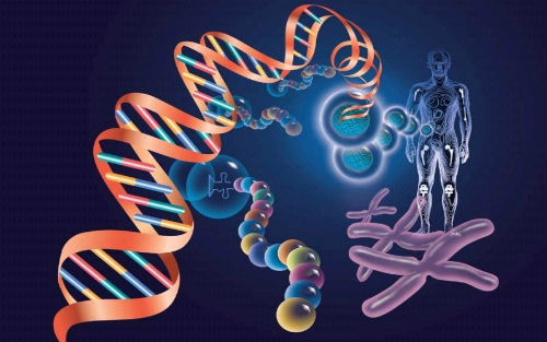 生命科学迎来崭新突破