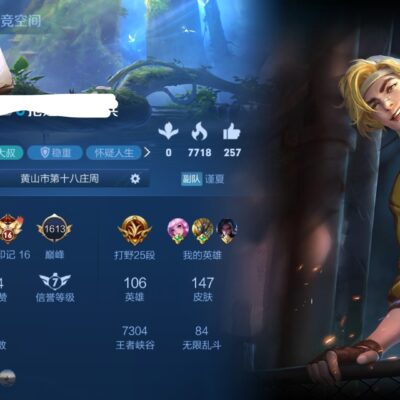 探寻顶尖玩家在各大服务器中的表现
