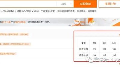 域名抢注攻略大全