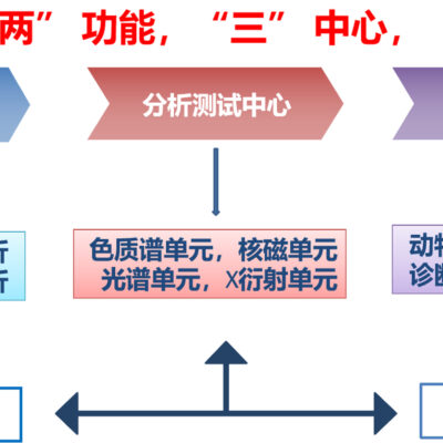全面解析服务器等级划分与玩家成长之路
