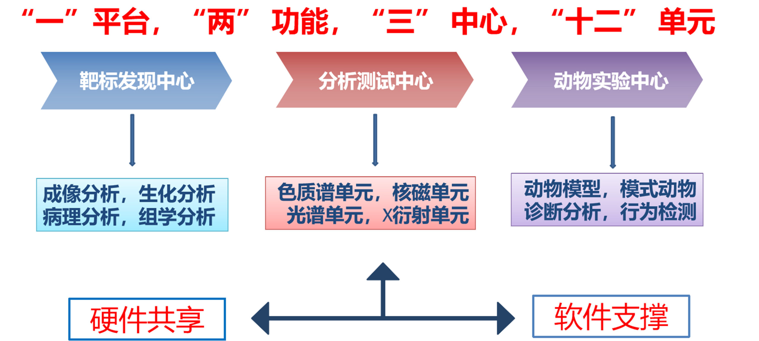 全面解析服务器等级划分与玩家成长之路