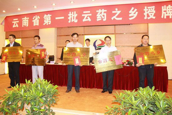 江中制药云引领行业变革新潮流