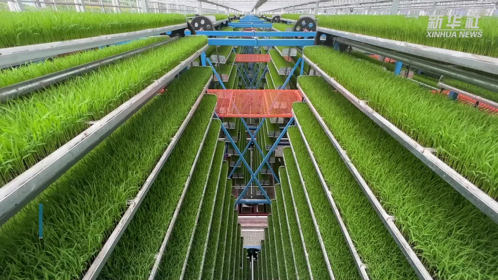 科技引领农业现代化
