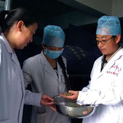 探寻藏医药智慧之旅