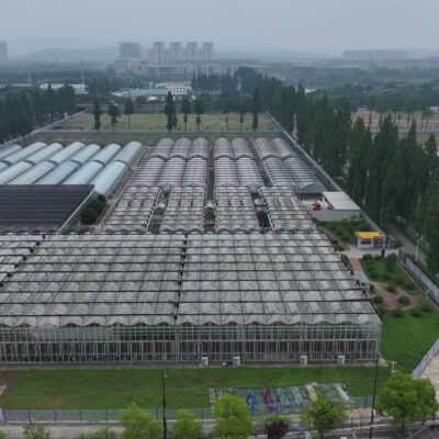 赋能智慧产业，促进区域协同进步