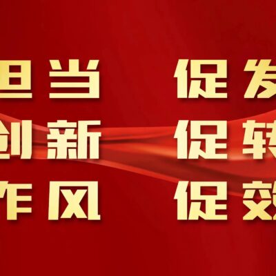 实战篇：成功案例分析与策略应用