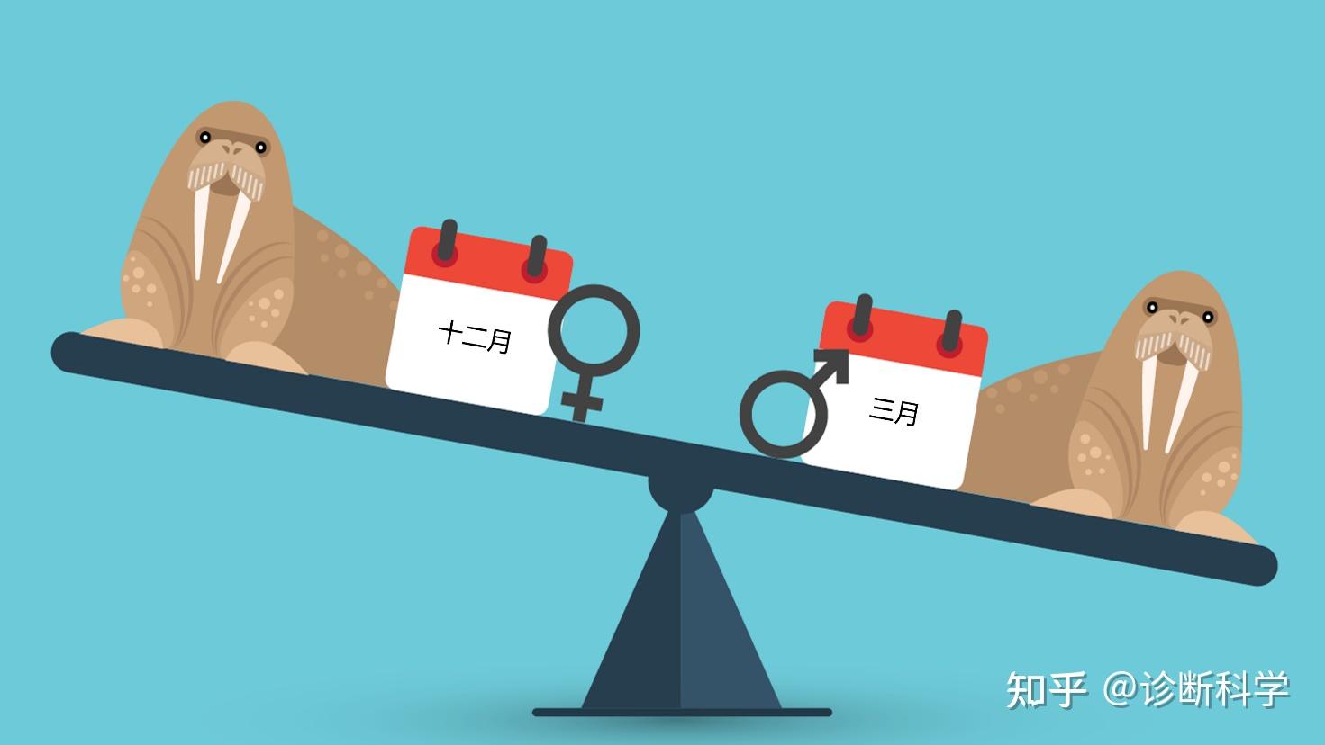 多个因素影响下的四川服务器机箱价格究竟如何