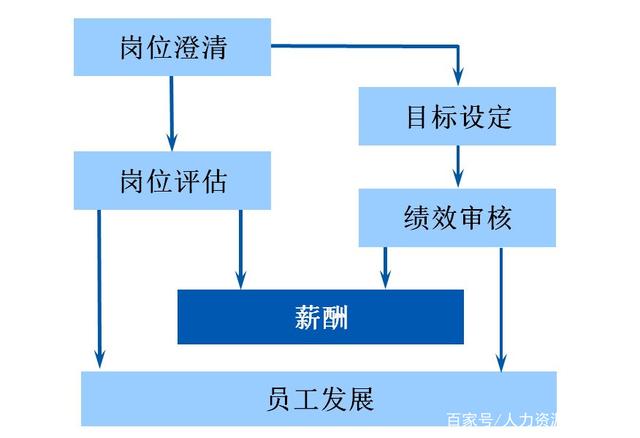 入门薪酬初探