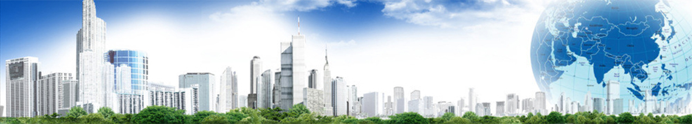 成功案例与展示