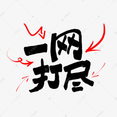 一网打尽：最新价格及选择指南